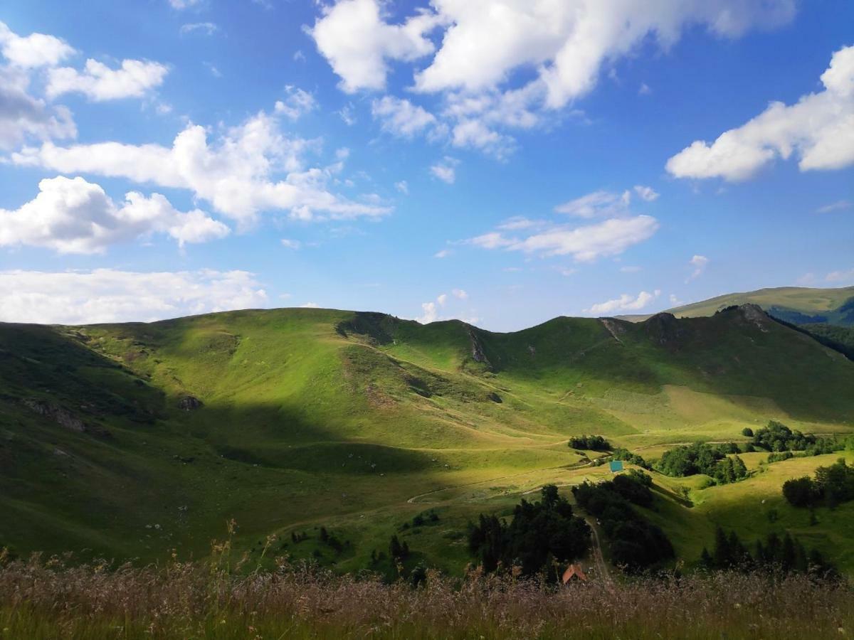 Eko Katun Damjanovic - Bjelasica Mojkovac Exterior foto